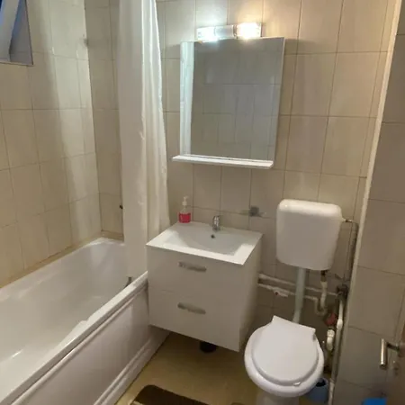 Apartment Tania Mamaia *